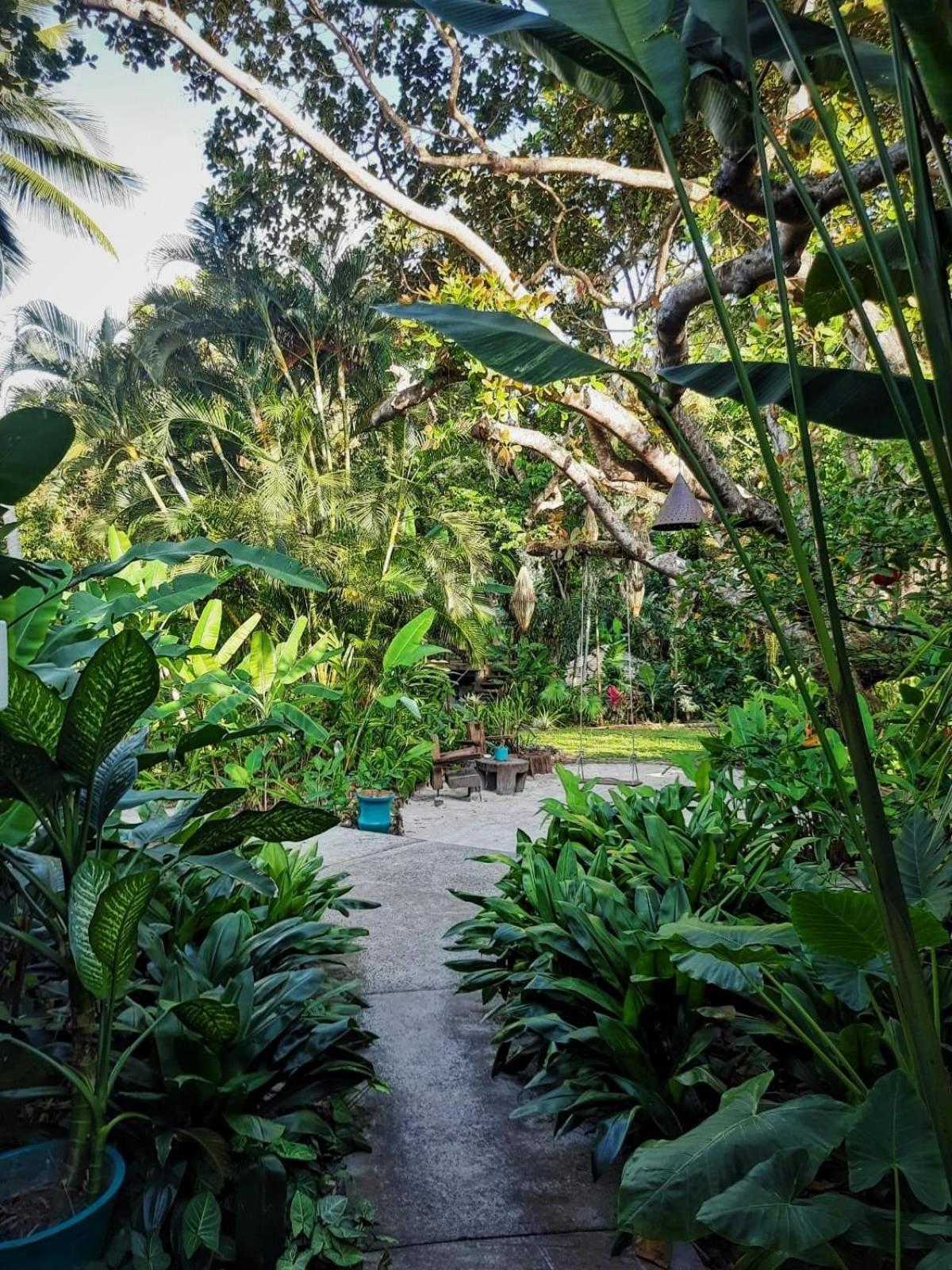 Pousada Ilha Verde Itacaré المظهر الخارجي الصورة